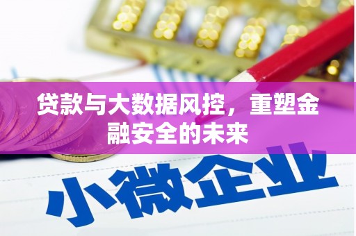 阳东贷款与大数据风控，重塑金融安全的未来