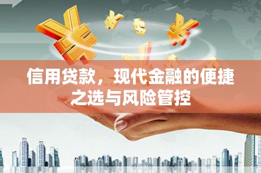 阳东信用贷款，现代金融的便捷之选与风险管控