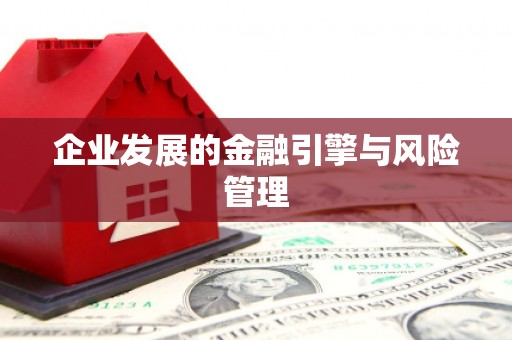 阳东企业发展的金融引擎与风险管理