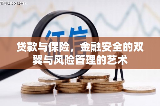 阳东贷款与保险，金融安全的双翼与风险管理的艺术