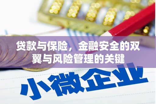 阳东贷款与保险，金融安全的双翼与风险管理的关键