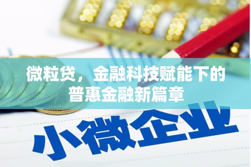 阳东微粒贷，金融科技赋能下的普惠金融新篇章