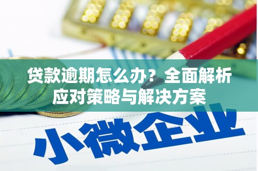 阳东贷款逾期怎么办？全面解析应对策略与解决方案