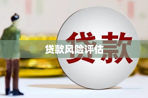 阳东贷款风险评估