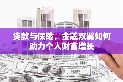 阳东贷款与保险，金融双翼如何助力个人财富增长
