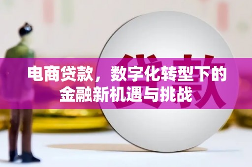 阳东电商贷款，数字化转型下的金融新机遇与挑战