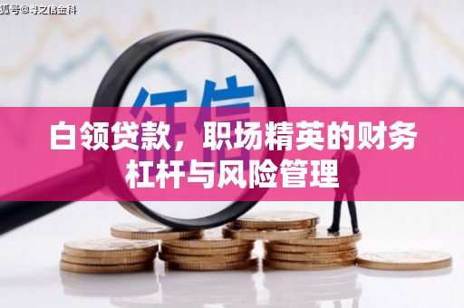 阳东白领贷款，职场精英的财务杠杆与风险管理