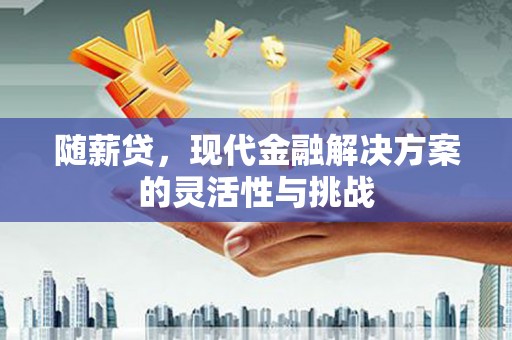 阳东随薪贷，现代金融解决方案的灵活性与挑战
