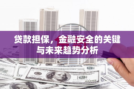 阳东贷款担保，金融安全的关键与未来趋势分析