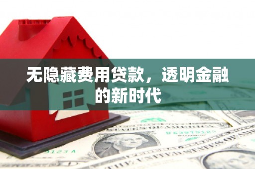 阳东无隐藏费用贷款，透明金融的新时代