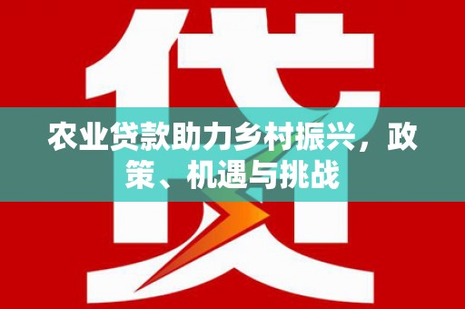 阳东农业贷款助力乡村振兴，政策、机遇与挑战
