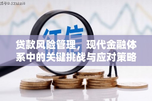 阳东贷款风险管理，现代金融体系中的关键挑战与应对策略