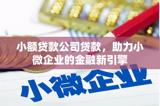 阳东小额贷款公司贷款，助力小微企业的金融新引擎