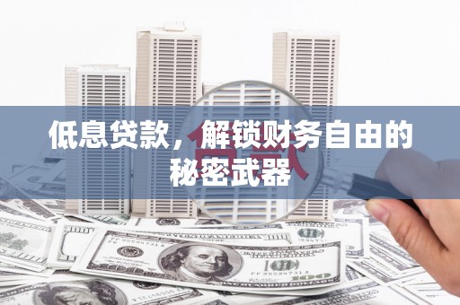 阳东低息贷款，解锁财务自由的秘密武器