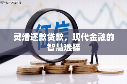 阳东灵活还款贷款，现代金融的智慧选择