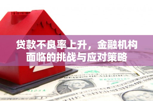 阳东贷款不良率上升，金融机构面临的挑战与应对策略