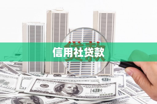 阳东信用社贷款