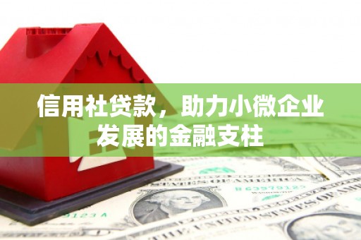 阳东信用社贷款，助力小微企业发展的金融支柱