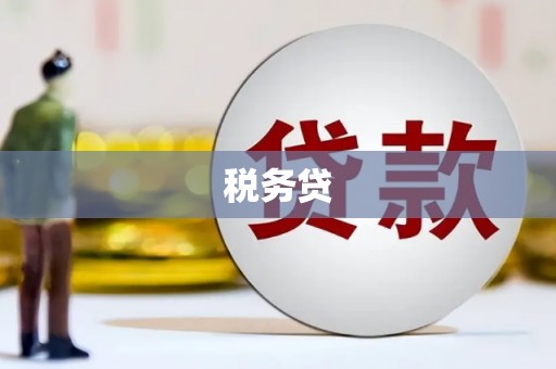 阳东税务贷