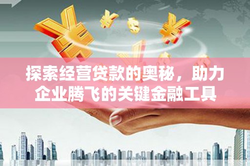 阳东探索经营贷款的奥秘，助力企业腾飞的关键金融工具