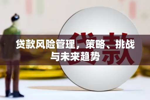 阳东贷款风险管理，策略、挑战与未来趋势