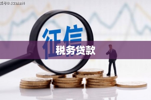 阳东税务贷款