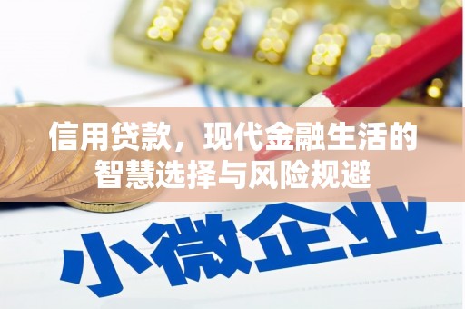 阳东信用贷款，现代金融生活的智慧选择与风险规避
