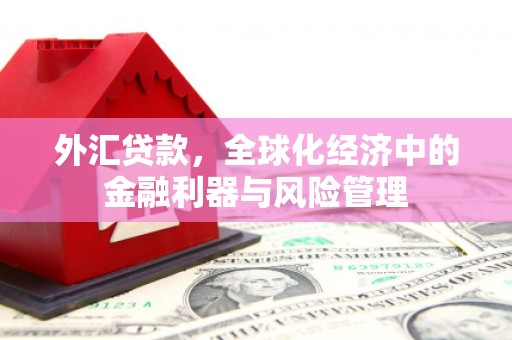 阳东外汇贷款，全球化经济中的金融利器与风险管理