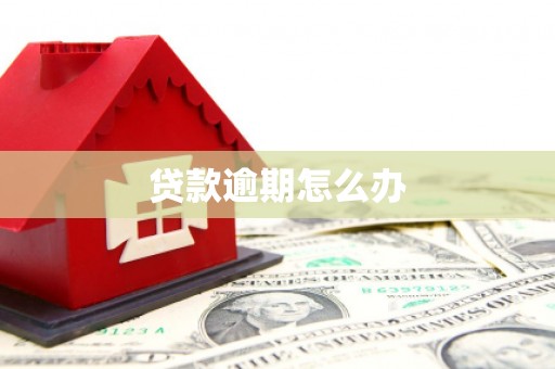阳东贷款逾期怎么办