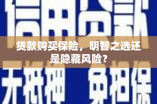 阳东贷款购买保险，明智之选还是隐藏风险？