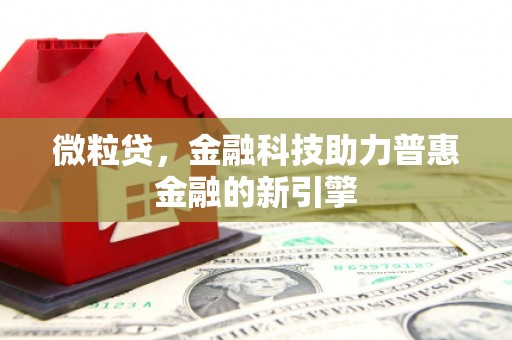 阳东微粒贷，金融科技助力普惠金融的新引擎