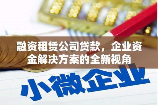 阳东融资租赁公司贷款，企业资金解决方案的全新视角