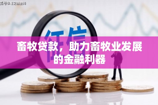 阳东畜牧贷款，助力畜牧业发展的金融利器