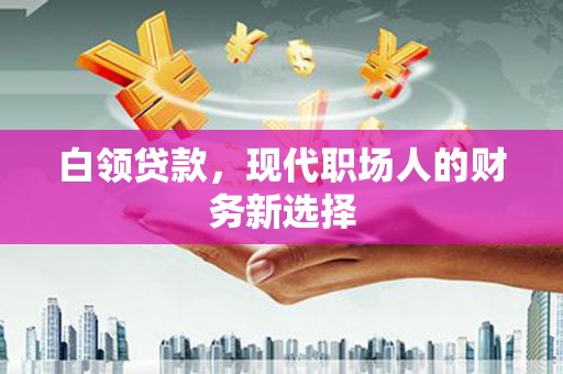 阳东白领贷款，现代职场人的财务新选择