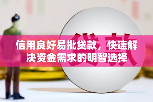 阳东信用良好易批贷款，快速解决资金需求的明智选择