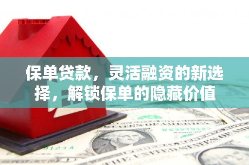 阳东保单贷款，灵活融资的新选择，解锁保单的隐藏价值