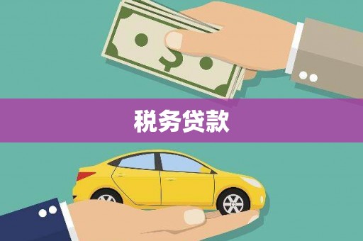 阳东税务贷款