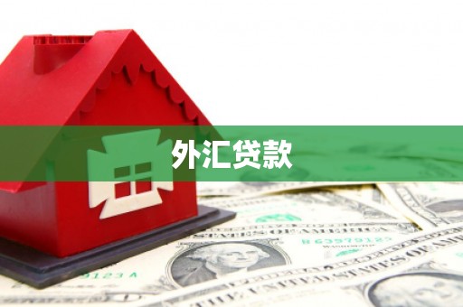 阳东外汇贷款