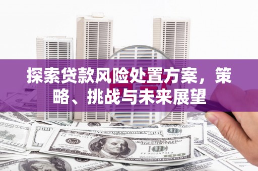 阳东探索贷款风险处置方案，策略、挑战与未来展望