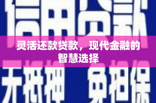 阳东灵活还款贷款，现代金融的智慧选择