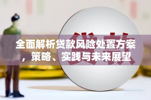阳东全面解析贷款风险处置方案，策略、实践与未来展望