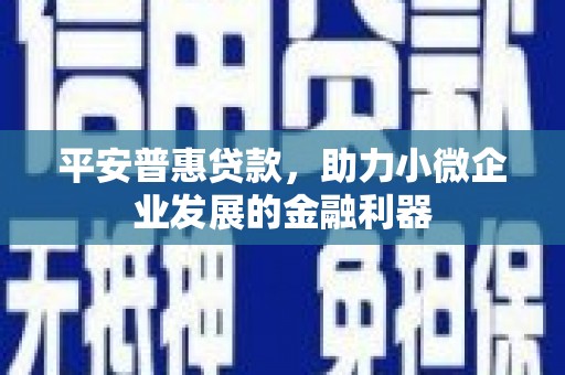 阳东平安普惠贷款，助力小微企业发展的金融利器