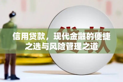 阳东信用贷款，现代金融的便捷之选与风险管理之道