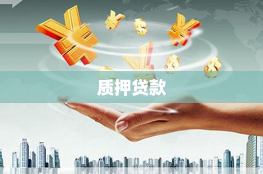 阳东质押贷款