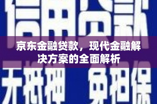 阳东京东金融贷款，现代金融解决方案的全面解析