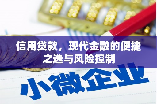 阳东信用贷款，现代金融的便捷之选与风险控制