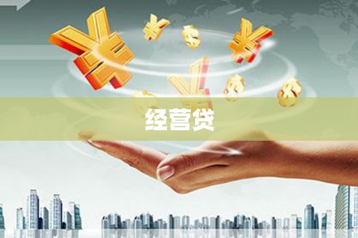 阳东经营贷