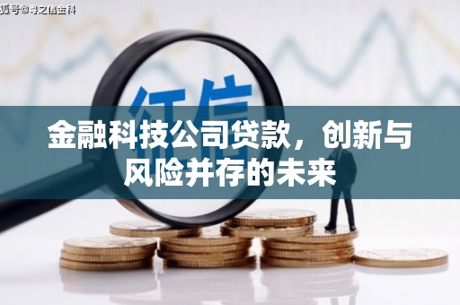 阳东金融科技公司贷款，创新与风险并存的未来