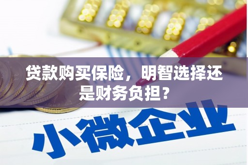 阳东贷款购买保险，明智选择还是财务负担？