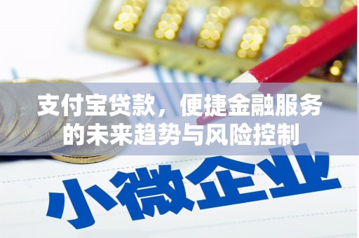 阳东支付宝贷款，便捷金融服务的未来趋势与风险控制